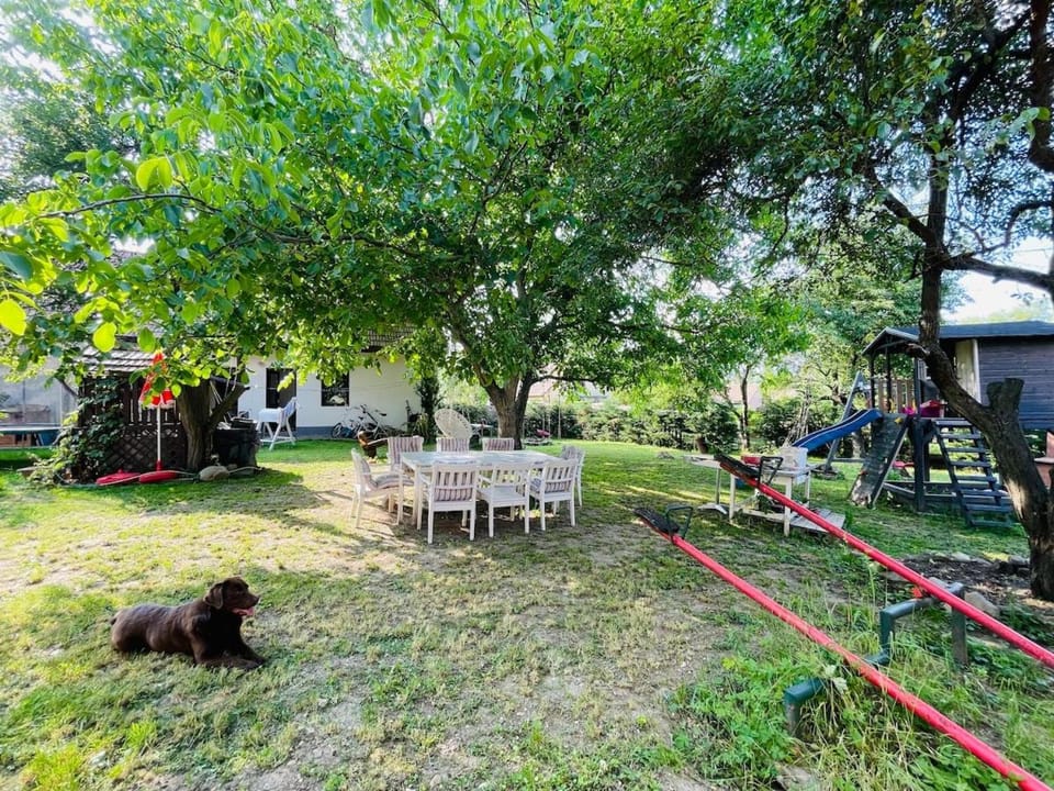 Spring, Day, Natural landscape, BBQ facilities, Children play ground, Garden, Pets, Garden view, fireplace