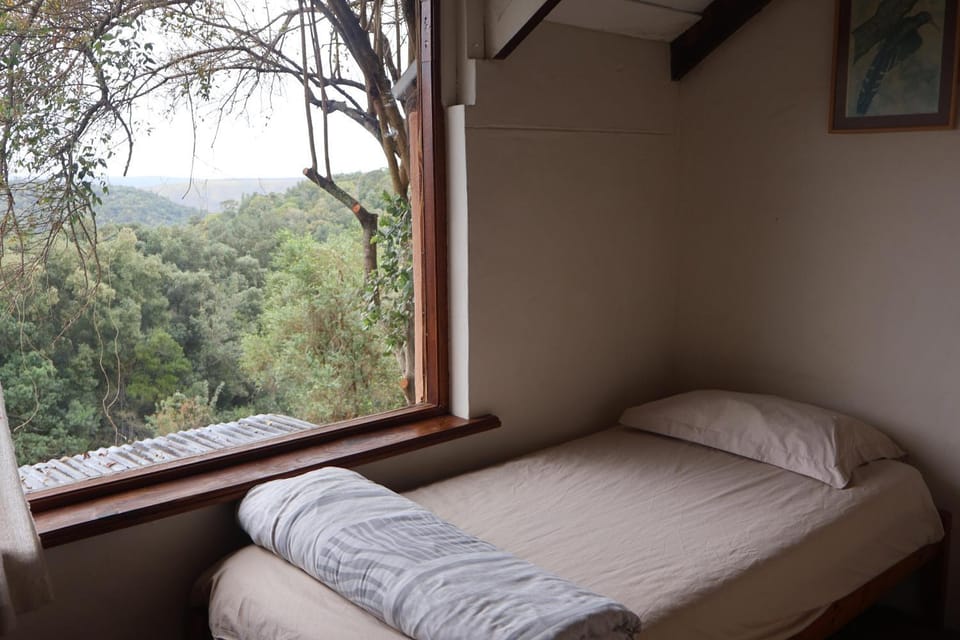 Wild Spirit Backpackers Lodge Hostel in Western Cape