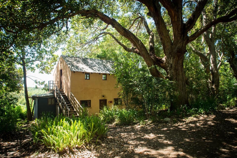 Wild Spirit Backpackers Lodge Hostel in Western Cape