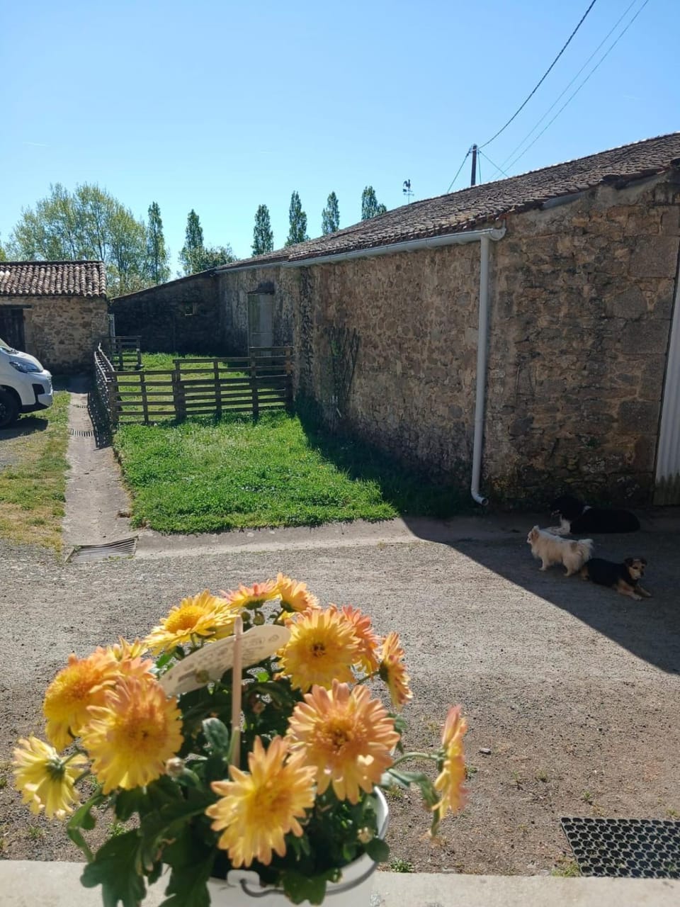 Studio aux portes de Parthenay Apartment in Nouvelle-Aquitaine