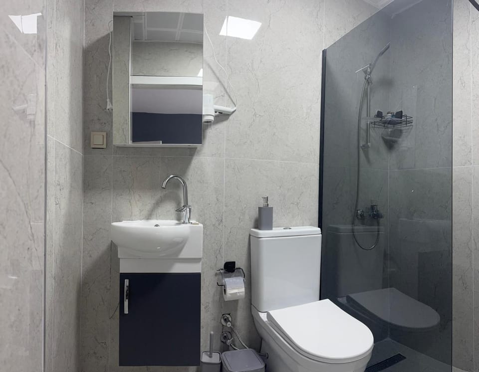 Shower, Toilet, Bathroom, bidet