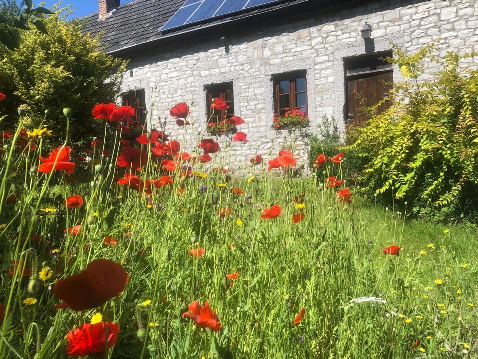 Property building, Spring