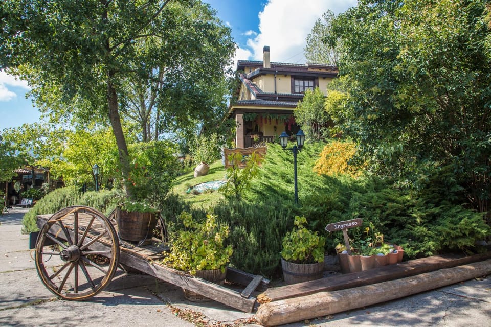 Property building, Day, Garden