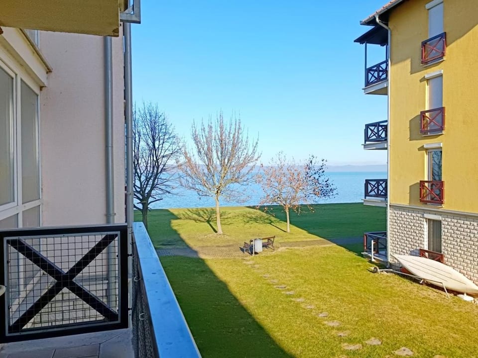 Lake view