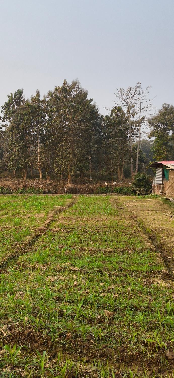 Bethesda Farmstay Apartment in India