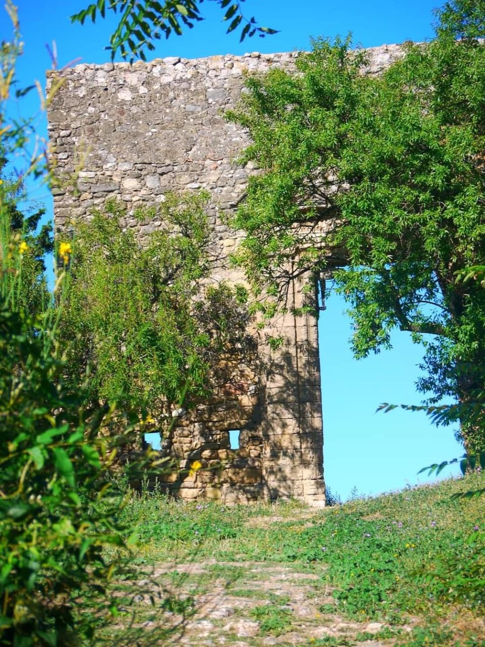 Natural landscape