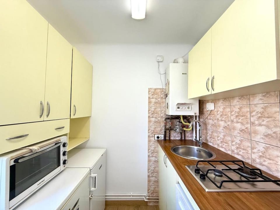Roses Park Apartment Apartment in Timisoara