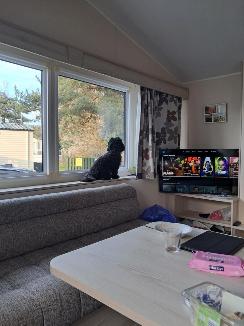 J1, Oakdene forest park Apartment in East Dorset District