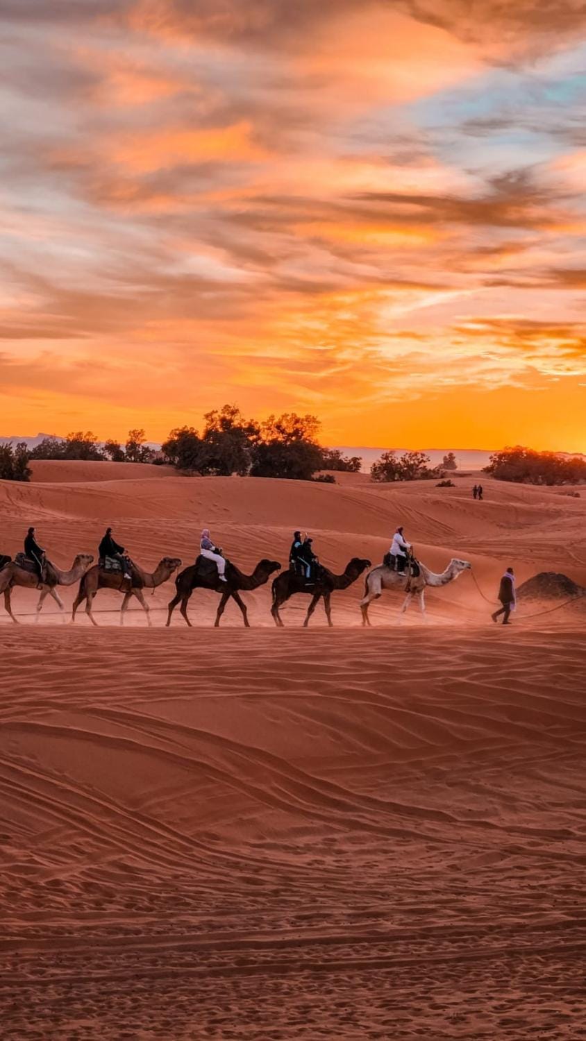 Day, People, Natural landscape, Animals, Sunrise, Sunset, group of guests