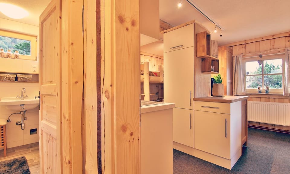 Bathroom, Dining area