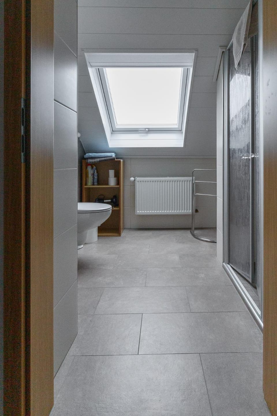 Shower, Toilet