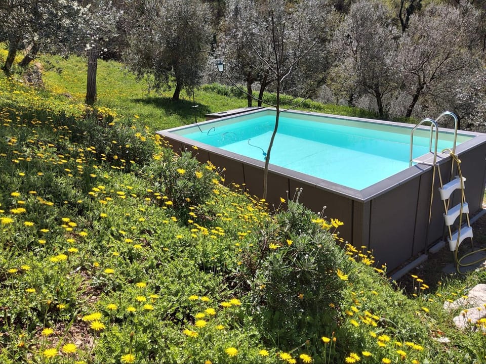 Property building, Swimming pool