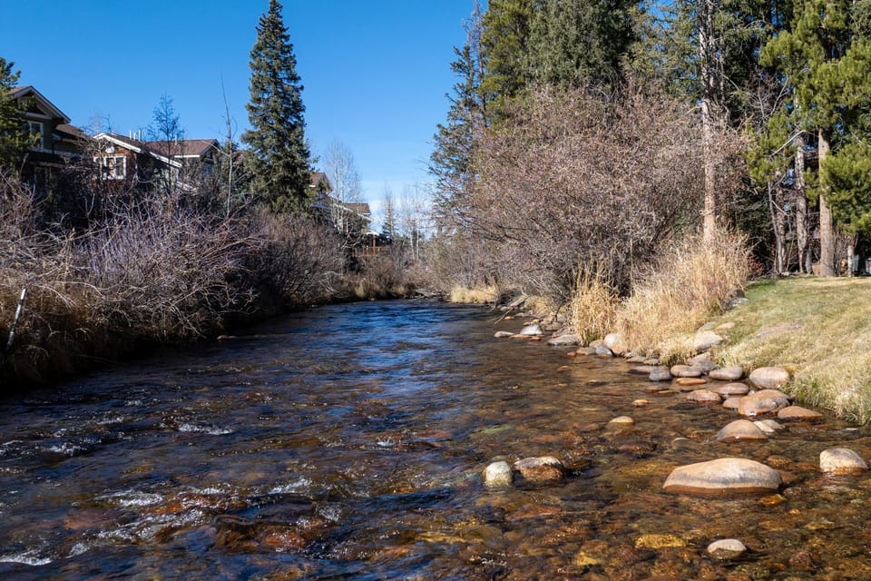 Day, Neighbourhood, Natural landscape, River view