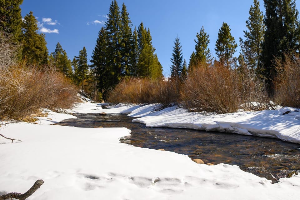 Day, Natural landscape, Winter, River view