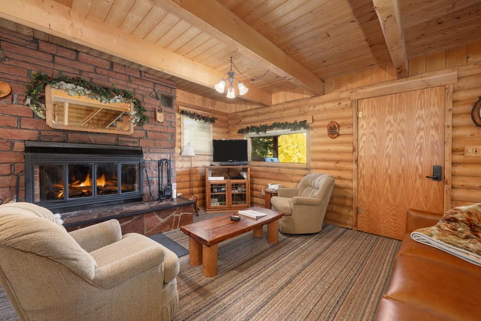 Day, TV and multimedia, Living room, Seating area, fireplace, furniture