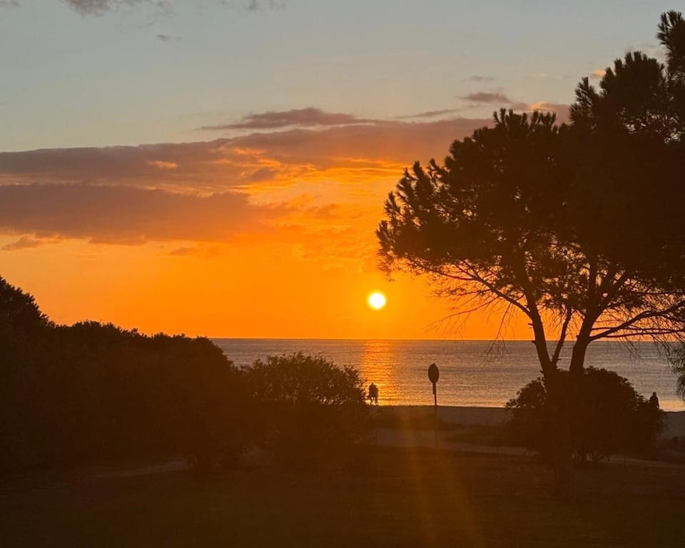 Day, Sunset