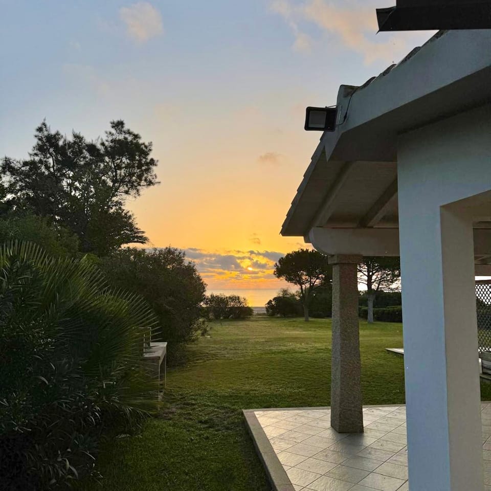 Garden, Sunset