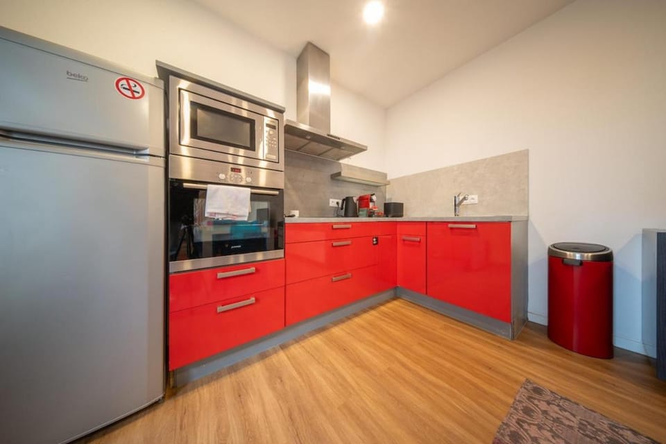 Le Big Red Triplex Near Basel en Hyper Centre Apartment in Saint-Louis