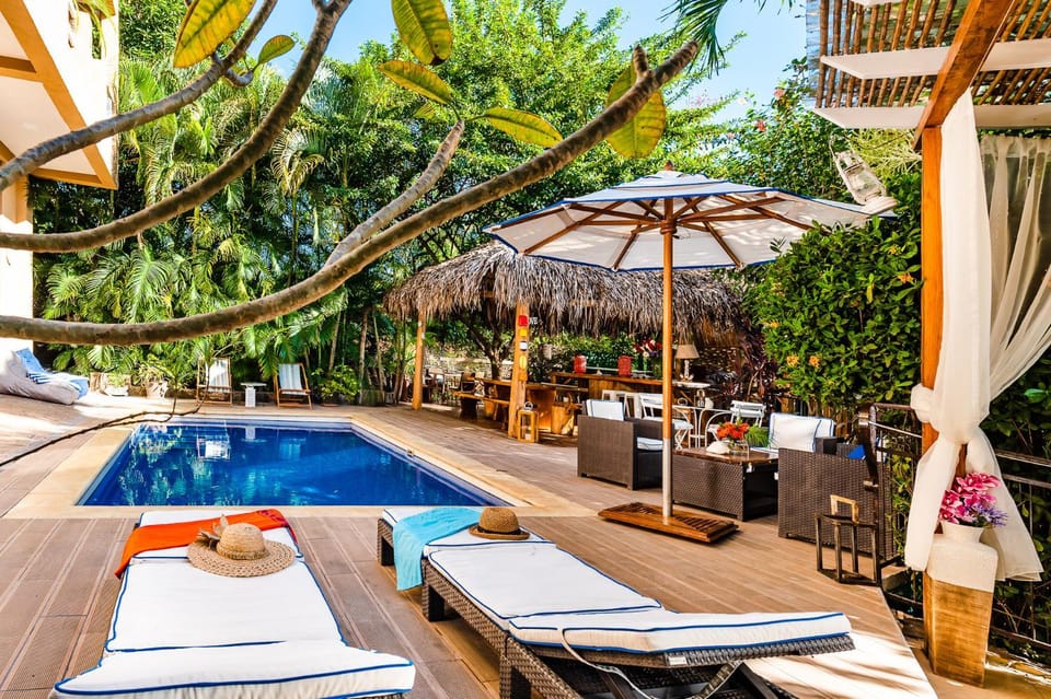 Patio, Garden, Balcony/Terrace, Lounge or bar, Pool view, Swimming pool