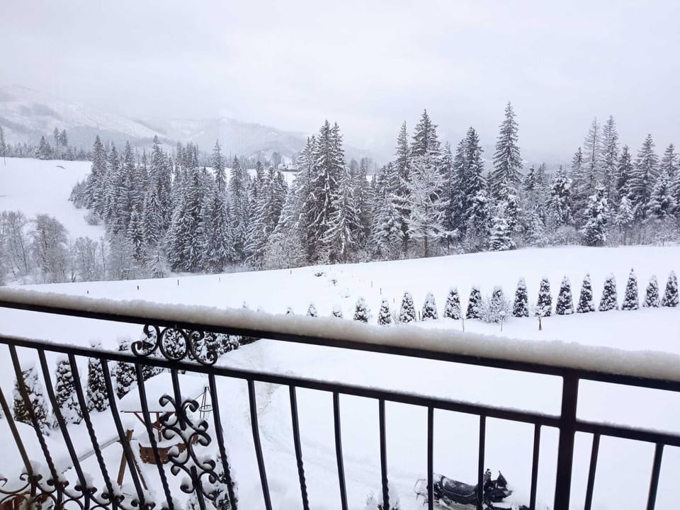 Day, Winter, Mountain view