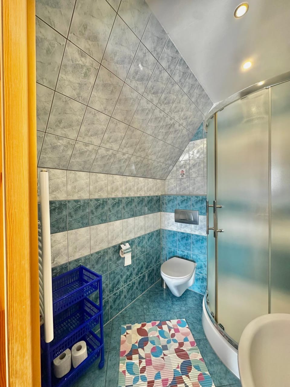 Shower, Toilet, Bathroom