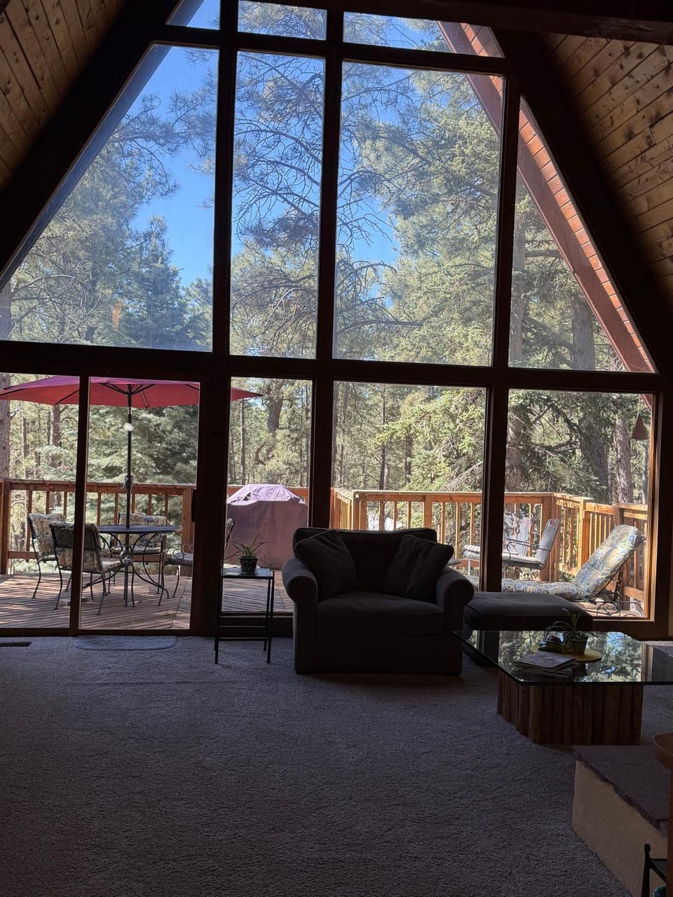 View (from property/room), Living room, Seating area