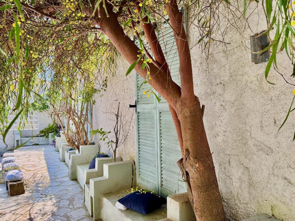 Patio, Garden, Garden view