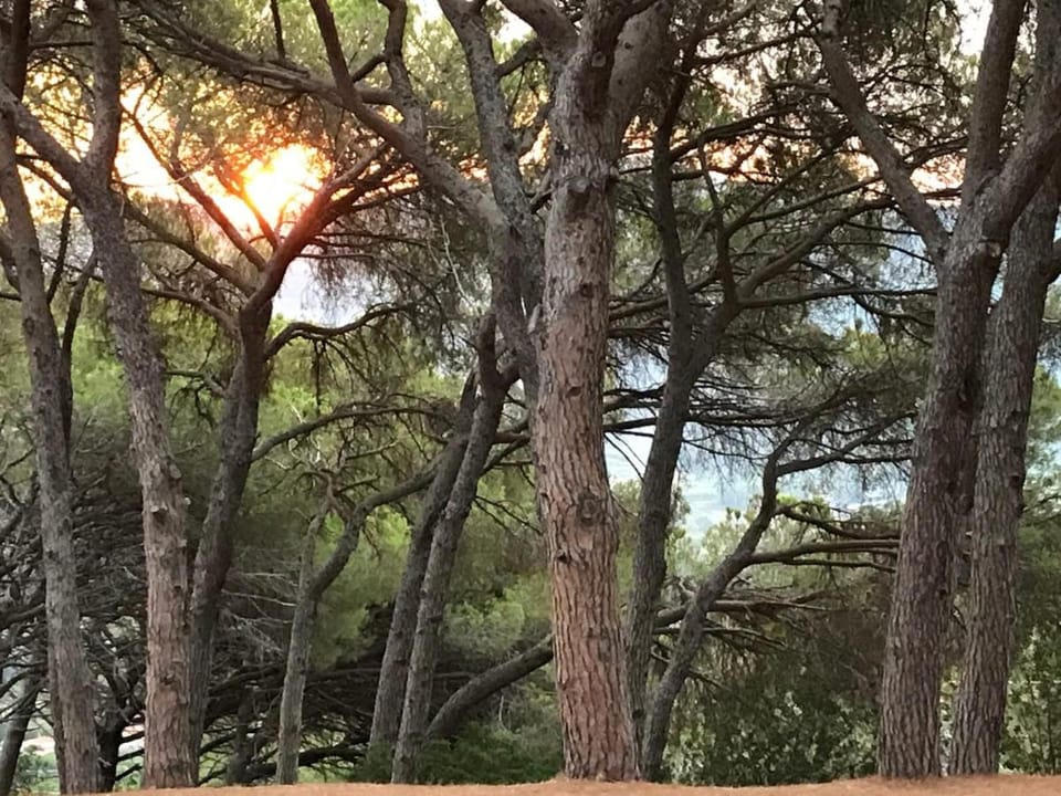 Villa Belvedere Villa in Campo nell'Elba