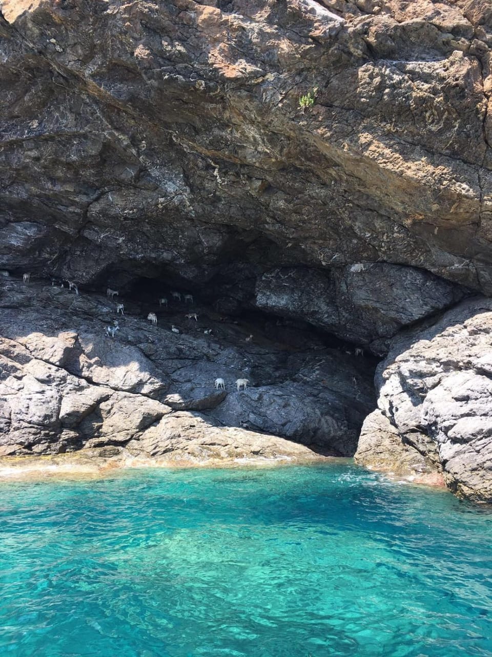 Villa Belvedere Villa in Campo nell'Elba