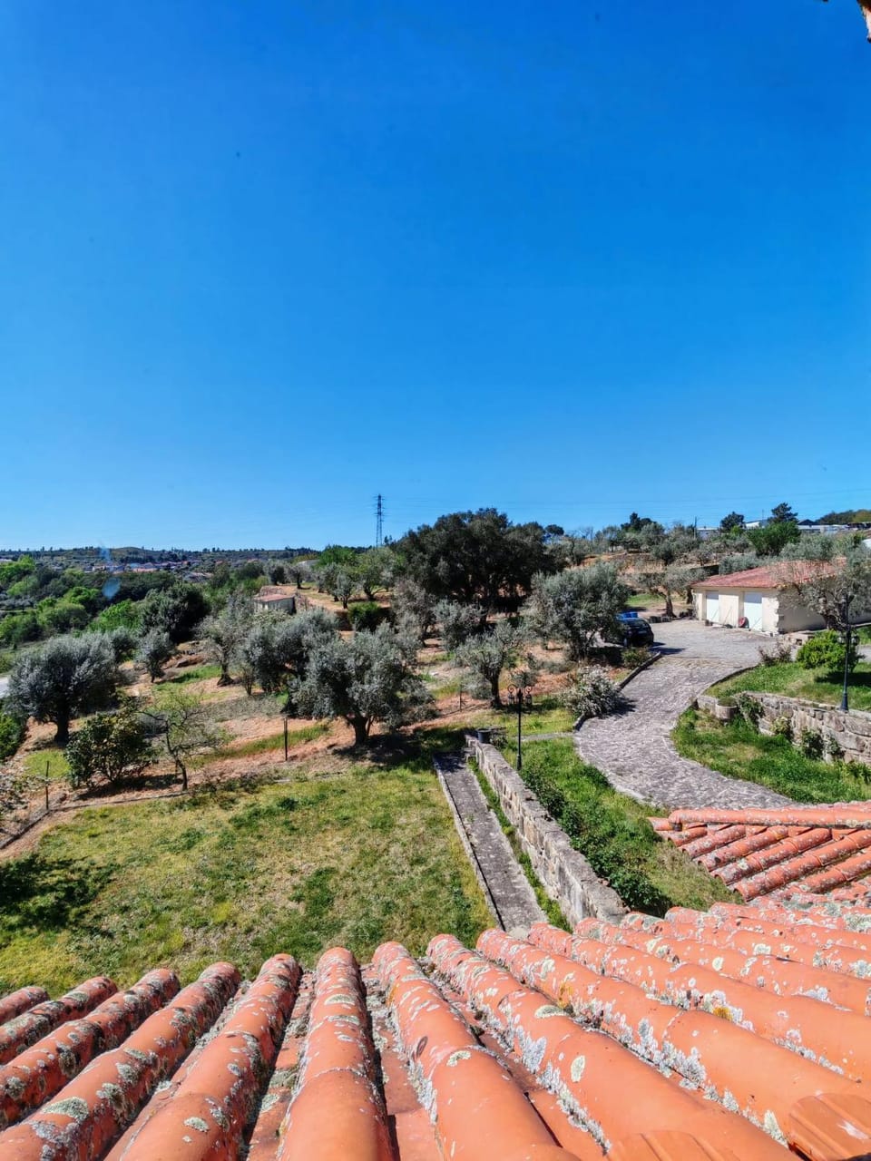 View (from property/room)