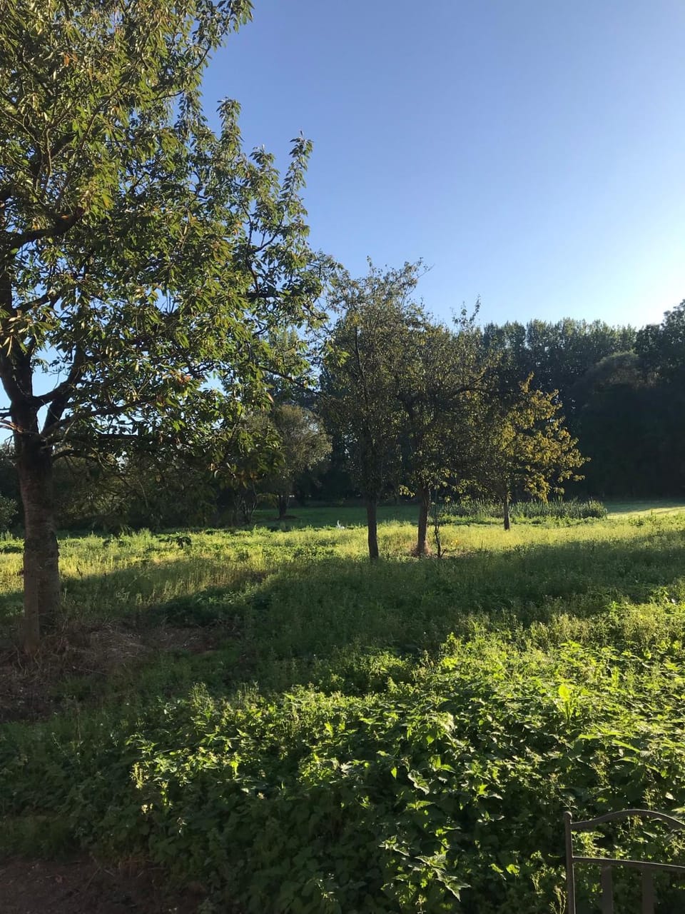 Natural landscape