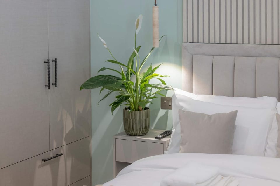 Bed, wardrobe