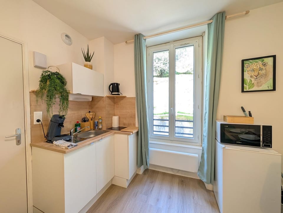 Le Studio Évasion Tropicale Apartment in Quimper