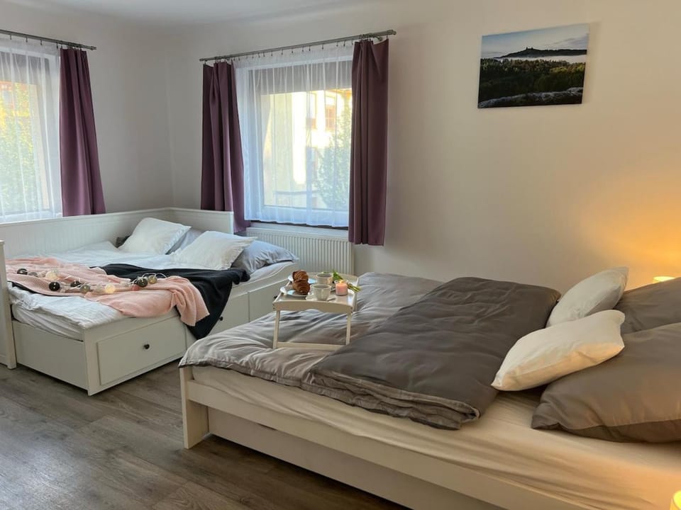 Prostorný apartmán blízko centra Apartment in Czechia