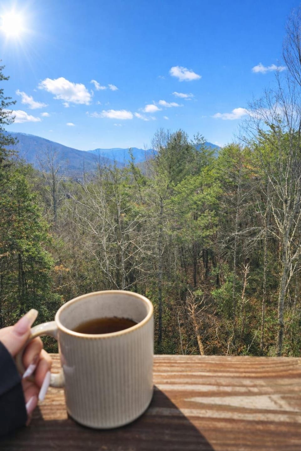 Holly Hideaway Luxury tent in Cullowhee