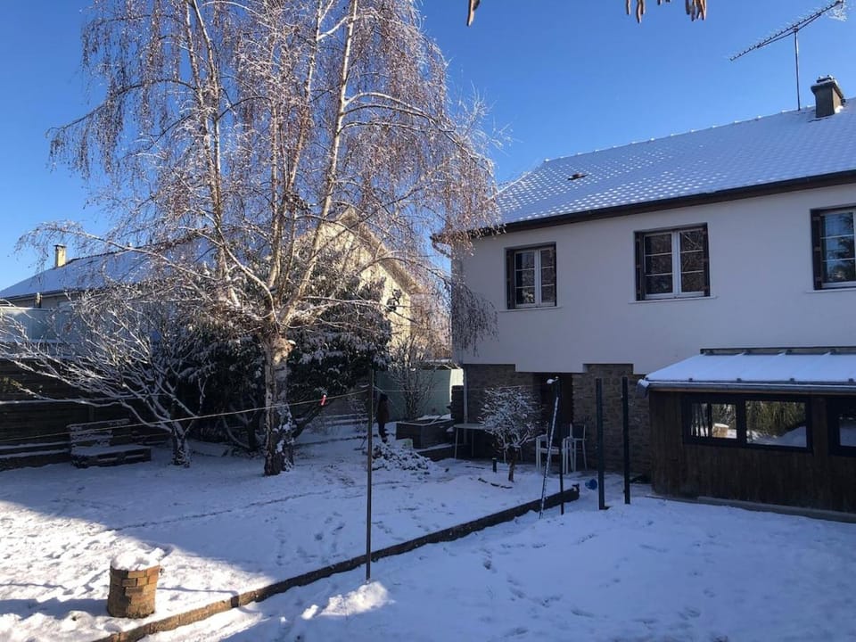 Winter, Garden