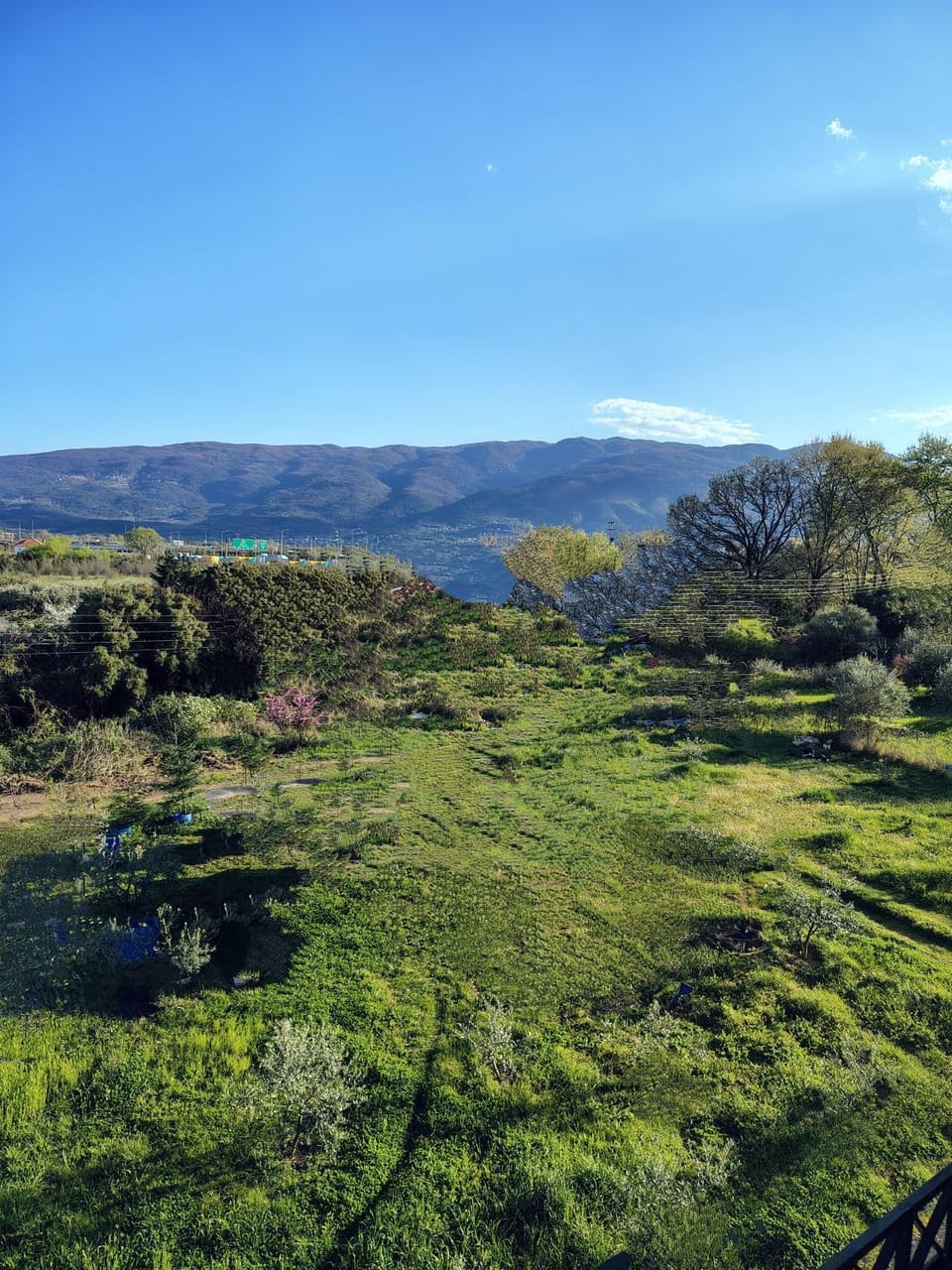 Mountain view