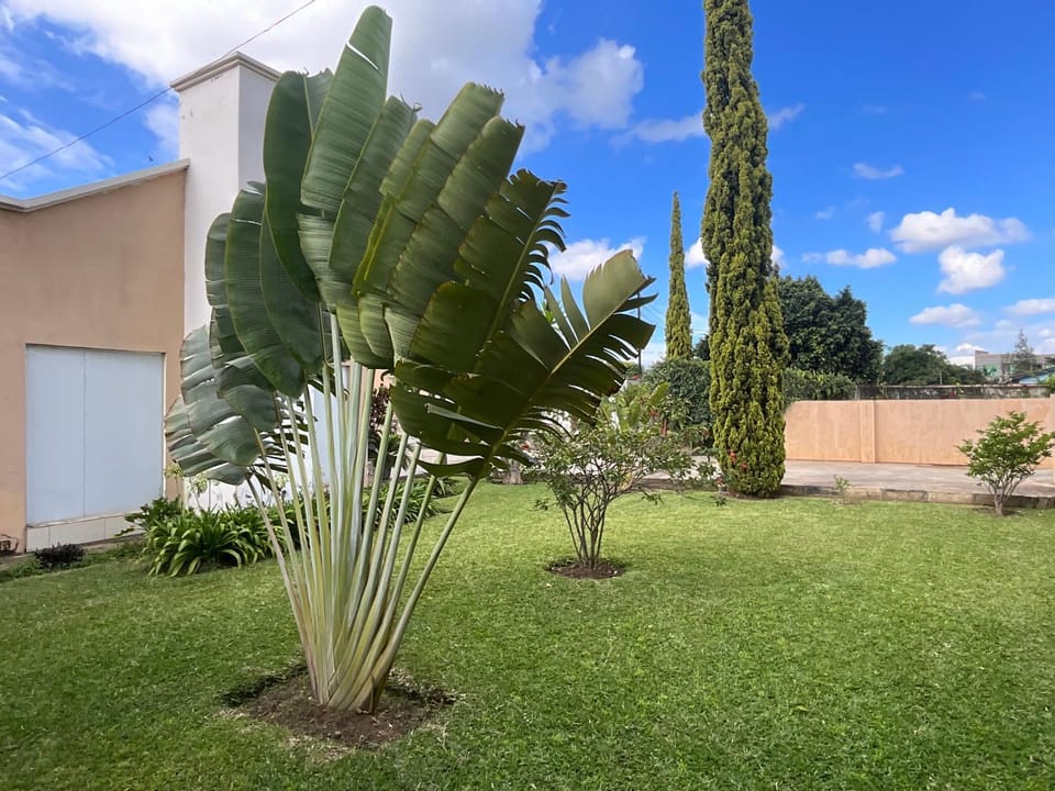 Garden, Garden view