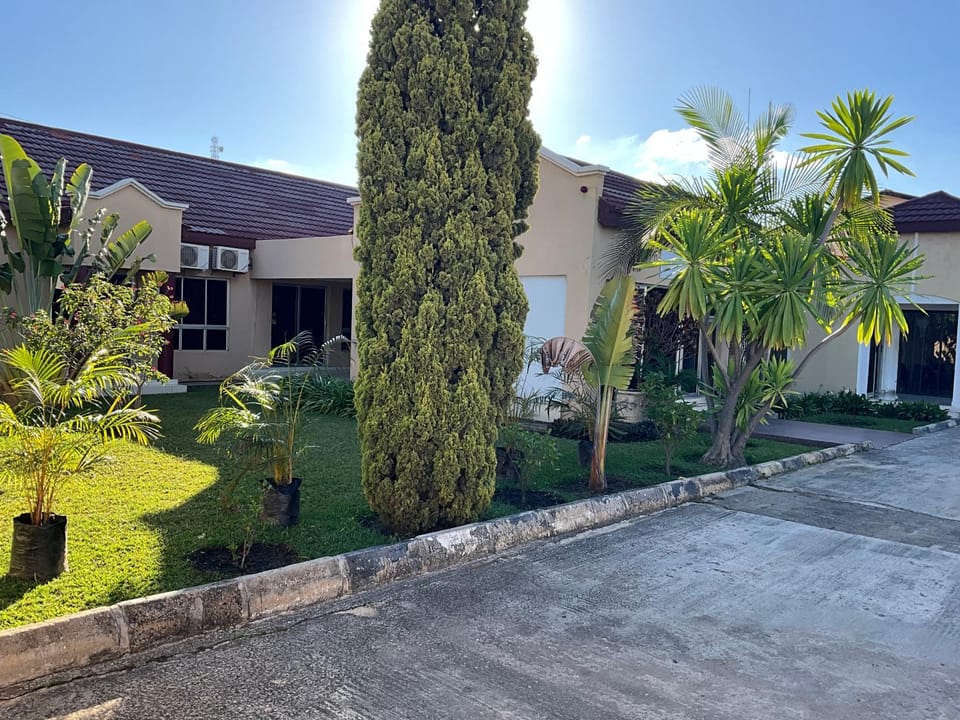 Property building, Day, Garden