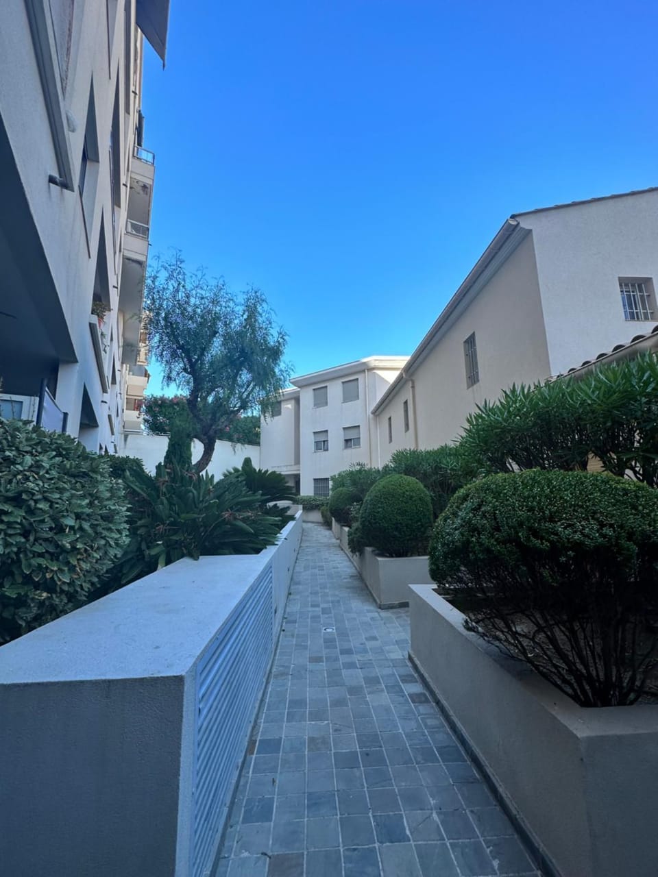 Property building