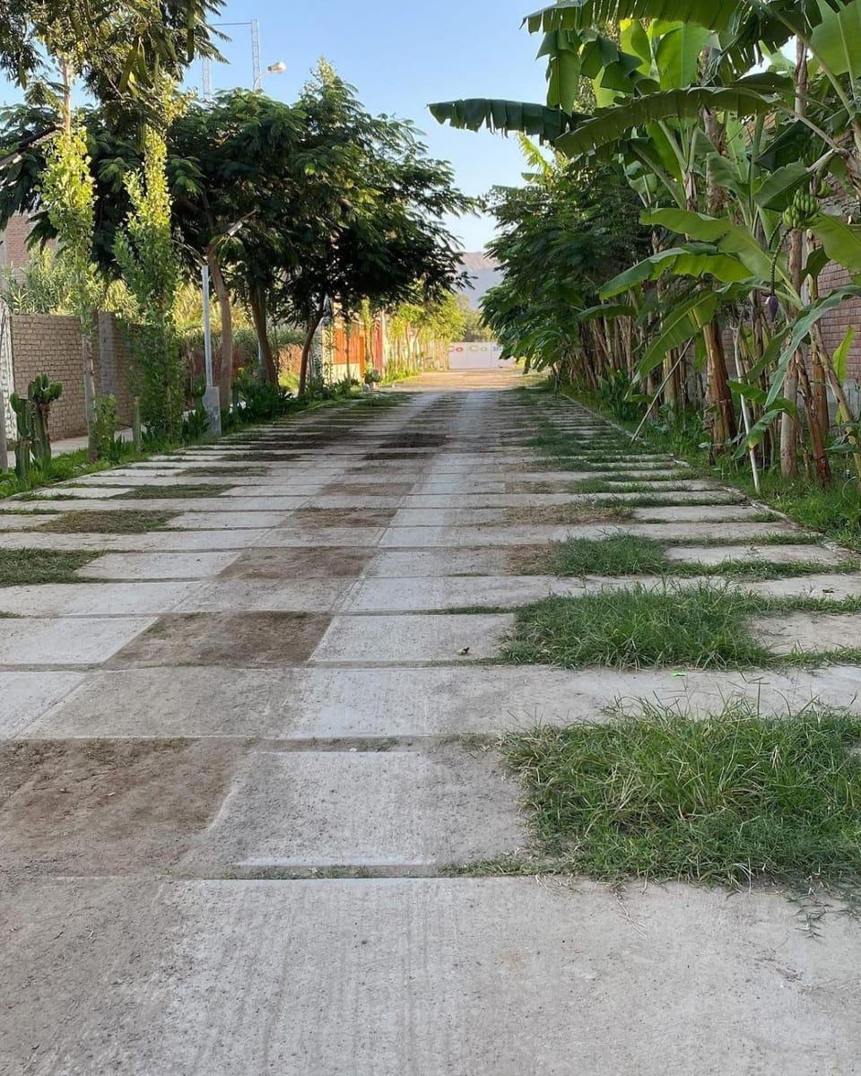 Hostal Bon Bed and Breakfast in Nazca