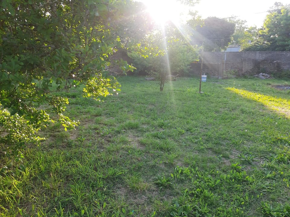 Natural landscape, Garden, Garden view