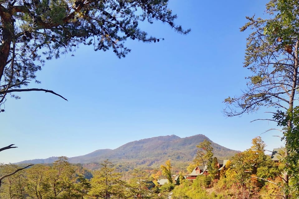 Luxurious Log Cabin Nestled in the Great Smoky Mountains Cabin in Pigeon Forge