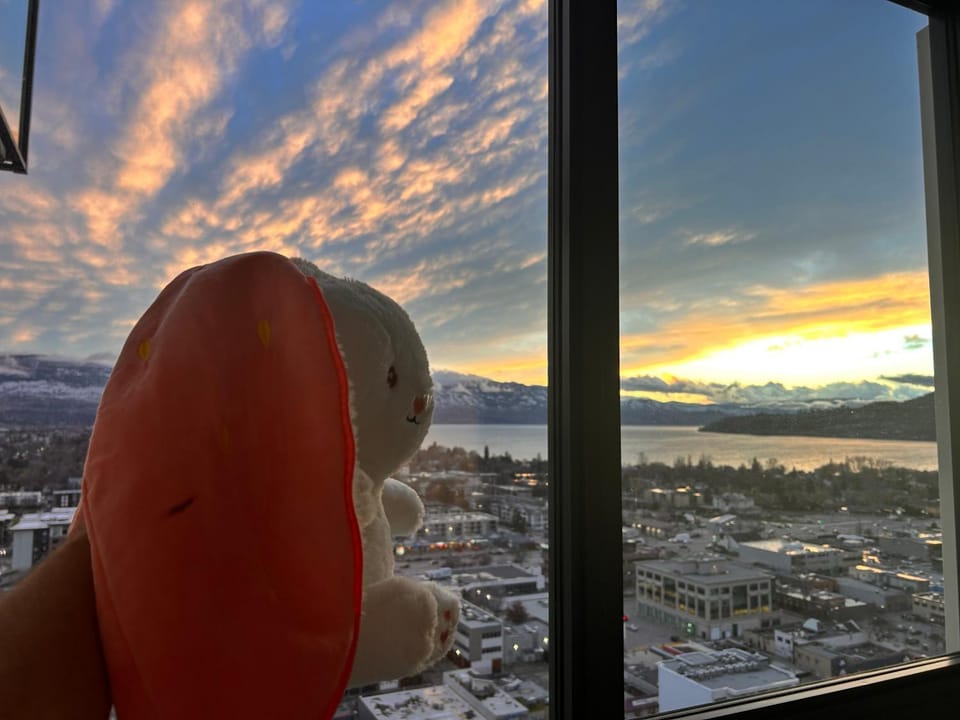 Stunning Million-Dollar Lakeview 2 Bedroom signature Loft with rooftop pool Apartment in Kelowna
