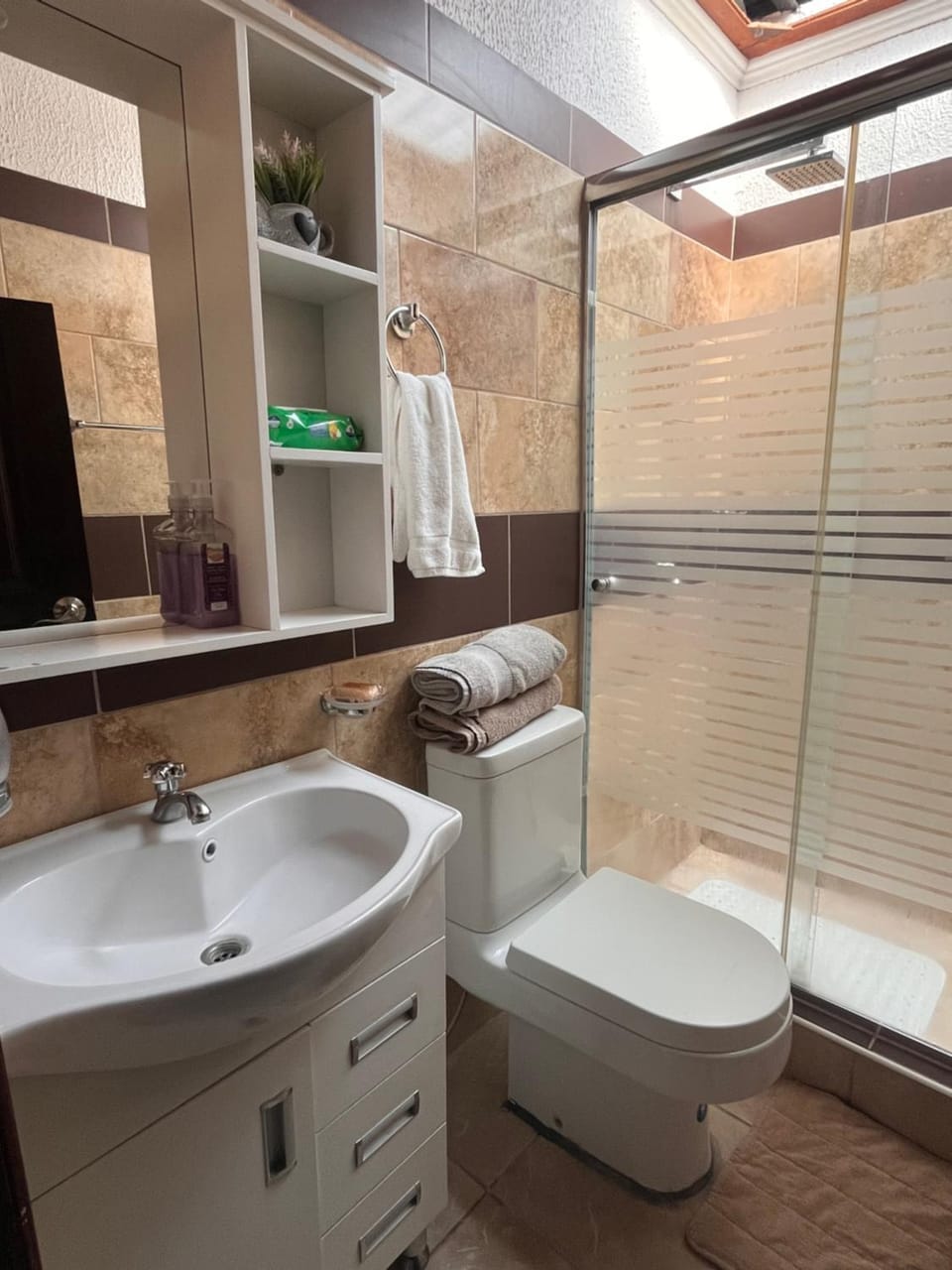 Shower, Toilet, Bathroom, Bath, towels