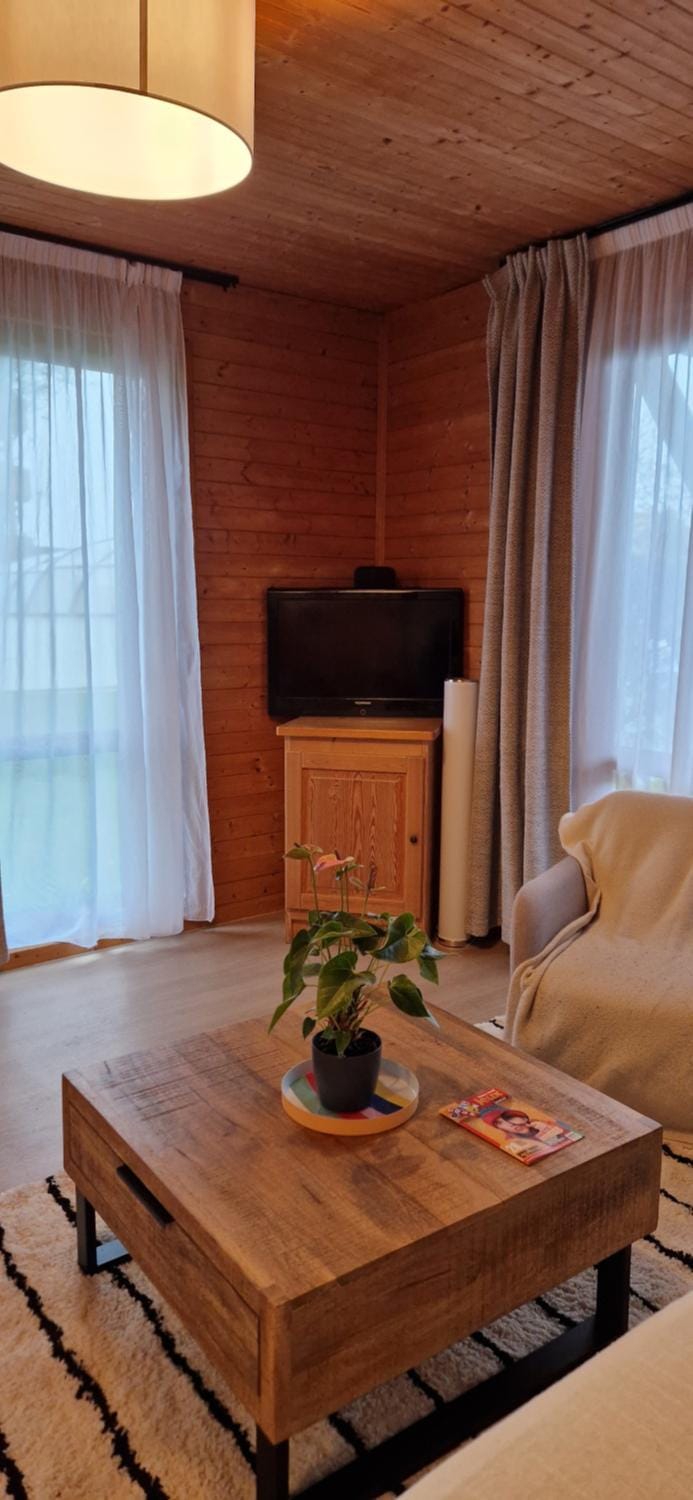 Les Chalets d Evian Apartment in Évian-les-Bains