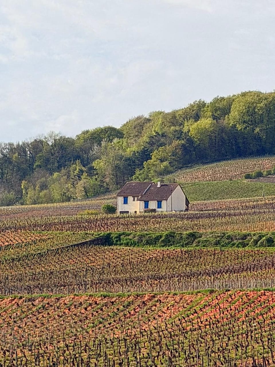 Property building, Day, Natural landscape