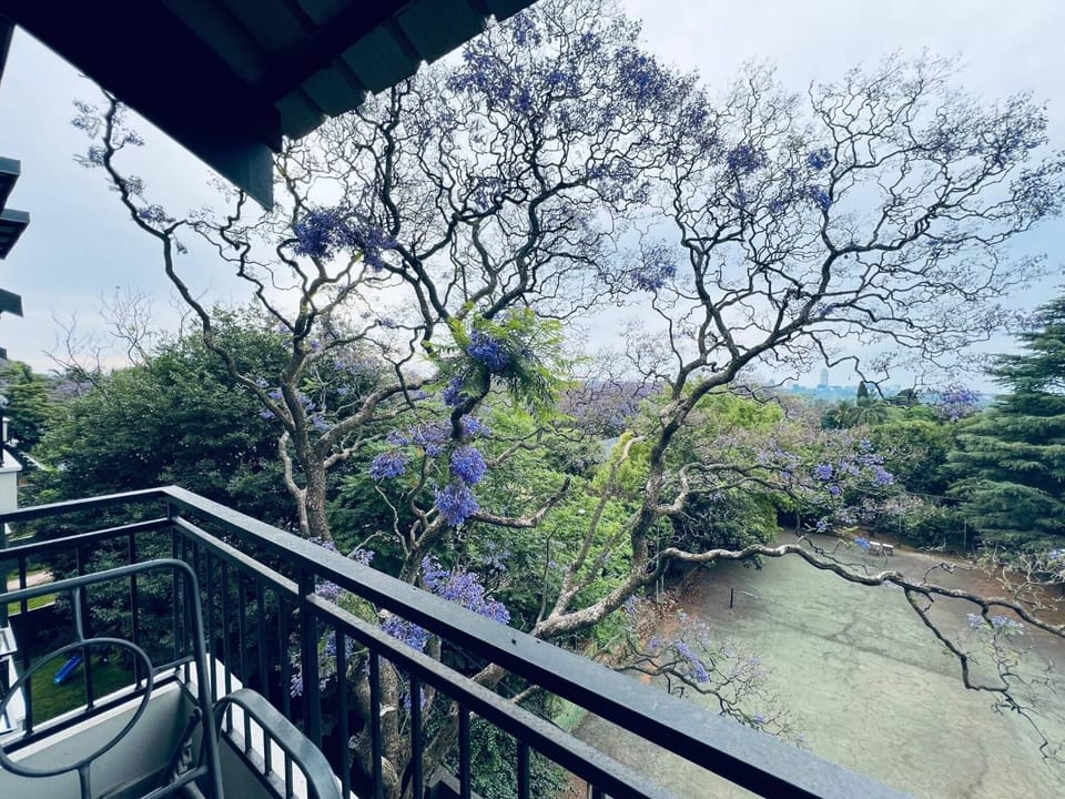 Garden, Balcony/Terrace