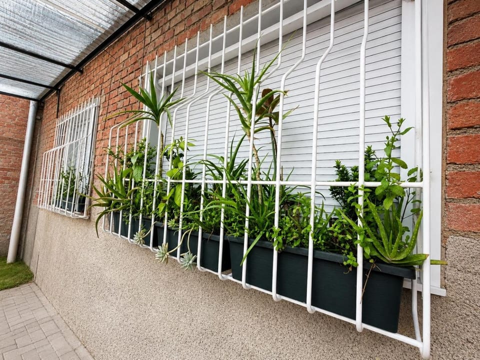 Garden, Garden view
