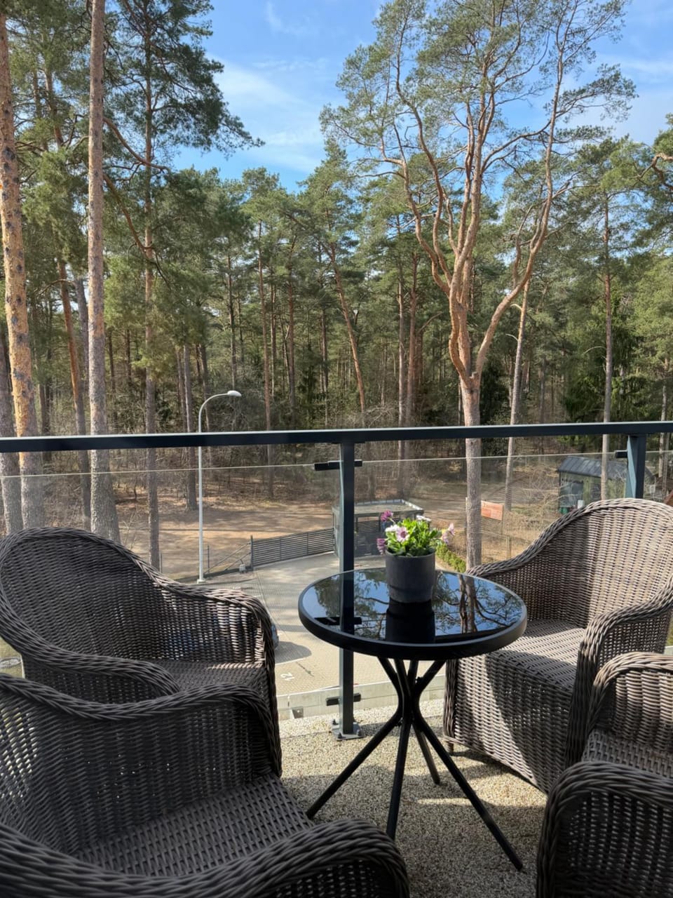 Garden view